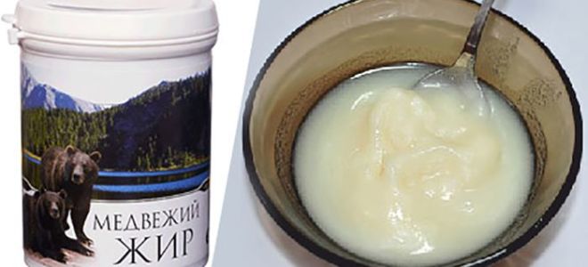 Ползите и вредите от мечи мазнини, рецензии, как да приемате