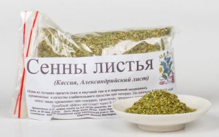 Séné: propriétés utiles et contre-indications, mode d'emploi