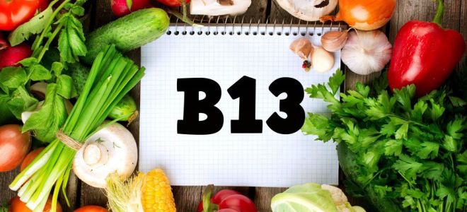 Vitamin B13: what does the body need for, what foods contain