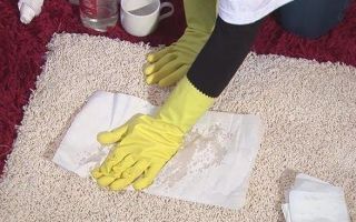 Πώς να βγείτε ούρα γάτας από τον καναπέ