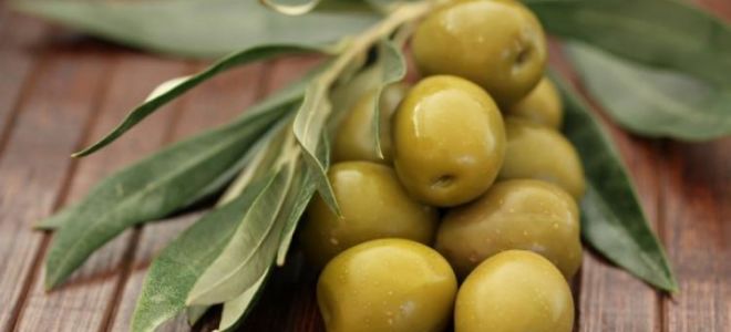 Защо маслините са полезни, свойства и съдържание на калории