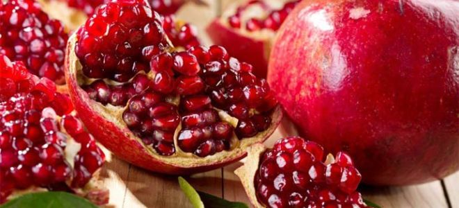 Защо нарът е полезен, лечебни свойства и противопоказания