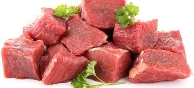 За какво е полезно говеждото?