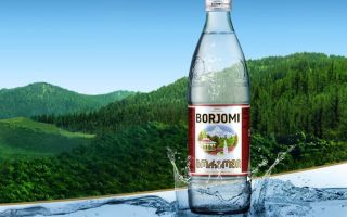 Ползи за здравето на водата Borjomi