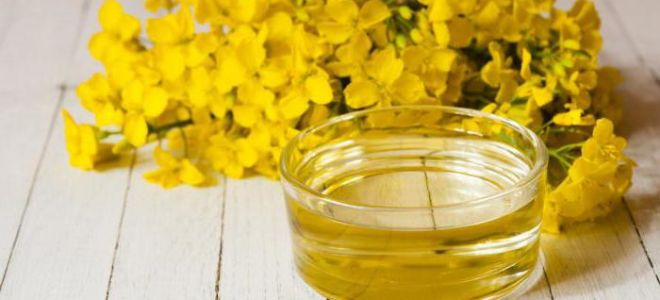 Камелиново масло: полезни свойства и противопоказания