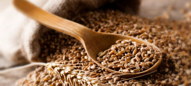 Защо пшеничната каша е полезна за организма