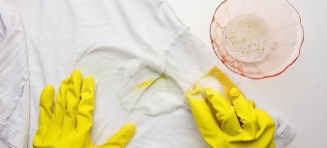 Как да премахнете маслото от морски зърнастец от дрехите