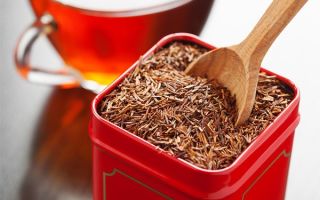 Tè Rooibos (Rooibos): benefici e rischi, recensioni