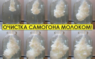 Почистване на лунна светлина с мляко у дома: ползи и вреди