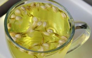 Té de jazmín: propiedades útiles y contraindicaciones.