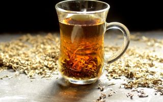 Die heilenden Eigenschaften von Sanddornblättern und Kontraindikationen