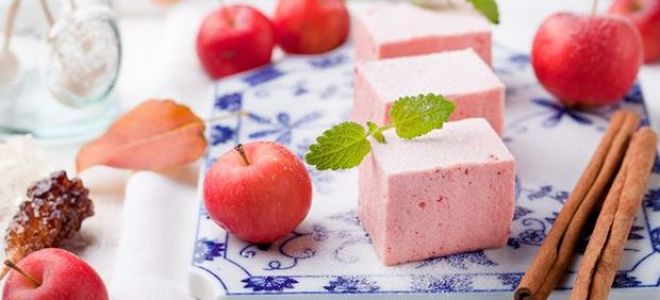 Пастила: ползи и вреди за здравето, стъпка по стъпка рецепта със снимка