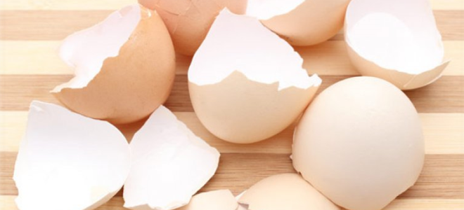 Защо черупките от яйца са полезни, как да ги готвя и използвам, рецензии