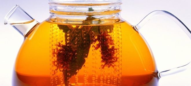 Wie man Hagebuttenwurzel braut und trinkt: Rezepte, Bewertungen von Ärzten