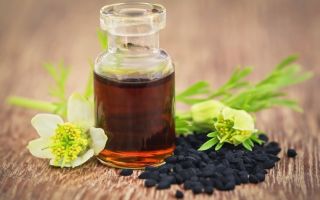 Olio di cumino nero: proprietà utili e controindicazioni, applicazione
