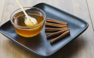 Χρήσιμες ιδιότητες κανέλας με μέλι και αντενδείξεις