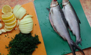 Млечна риба (ханос): ползи, как да готвя, къде се намира