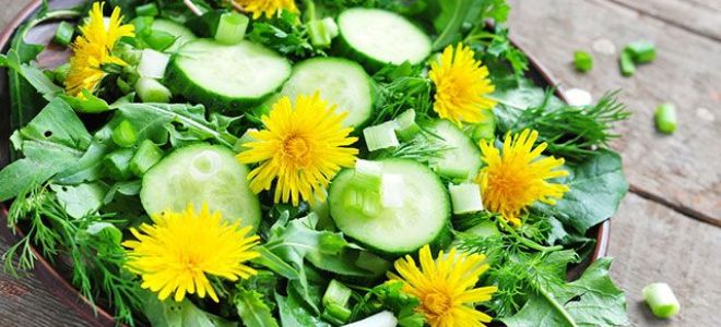 Салата от глухарче: ползи, как да готвя