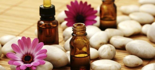 Huiles essentielles: propriétés utiles et contre-indications, comment utiliser