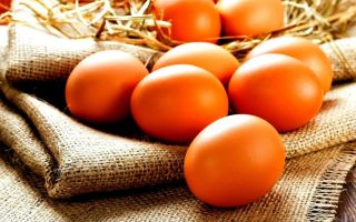 Quali alimenti contengono lisina: tavola