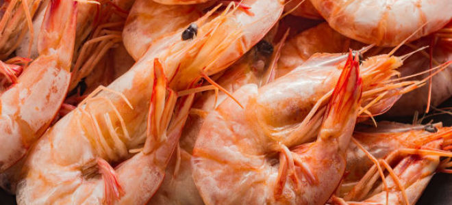 Какви са ползите от скаридите за човешкото тяло