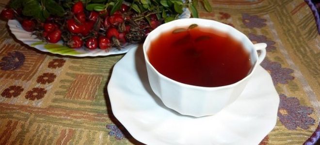 Wie man während der Schwangerschaft Preiselbeerblätter braut und trinkt