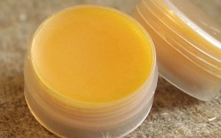 Восък от оризови трици (E908): описание, приложение