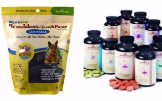 Vitaminas para perros de pastor: para articulaciones, pelo, orejas levantadas, complejo