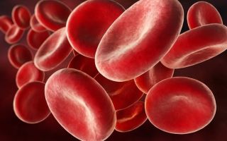 Falta de vitamina B12: como determinar e como repor