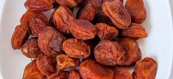 Защо е полезна кайсията и какъв плод е?