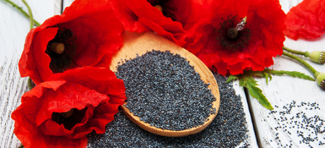 Мак: полезни свойства и противопоказания