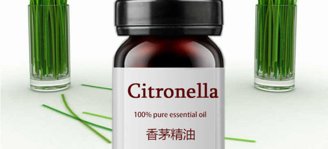 Citronella ätherisches Öl: Eigenschaften und Anwendungen, Bewertungen