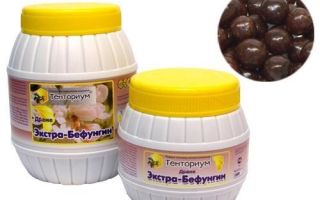 Бефунгин: полезни свойства и противопоказания, как да приемате, аналози