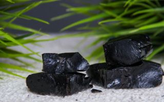 Shilajit: propiedades útiles y medicinales, contraindicaciones, cómo tomarlo, instrucciones.