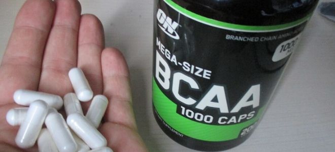 Ползите и вредите от BCAA (BCAA), за какво са предназначени и как да се приемат