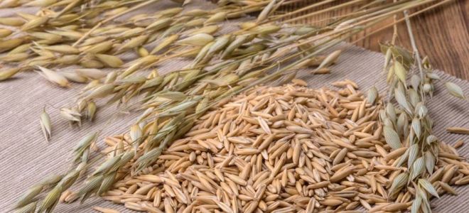 Овесена каша овесена каша: ползи и вреди, как да се използва