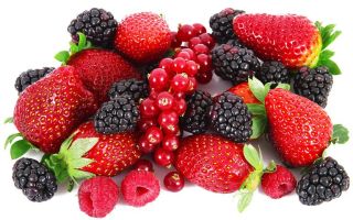 Какви храни съдържат манган: подробен списък, таблица