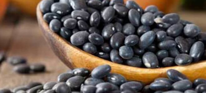Черен боб: полезни свойства, как да готвя