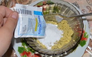 Come far uscire le formiche da un appartamento