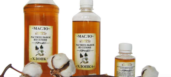 Памучно масло: ползи и вреди, приложение