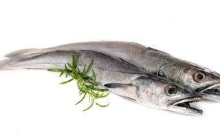 Pourquoi le merlu est utile