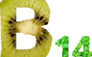 Pyrrolochinolinchinon (Vitamin B14): Gebrauchsanweisung, Übersichten