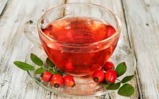 Infuso di rosa canina: benefici e rischi, come cucinare