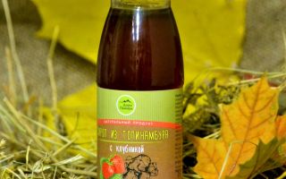 Σιρόπι αγκινάρας Ιερουσαλήμ: ιδιότητες, πώς να μαγειρεύετε στο σπίτι