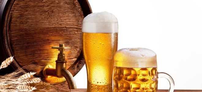 Какво е вредно и полезно бира