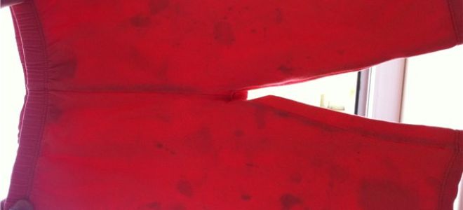 So entfernen Sie Seifenblasen: So entfernen Sie Flecken von der Kleidung