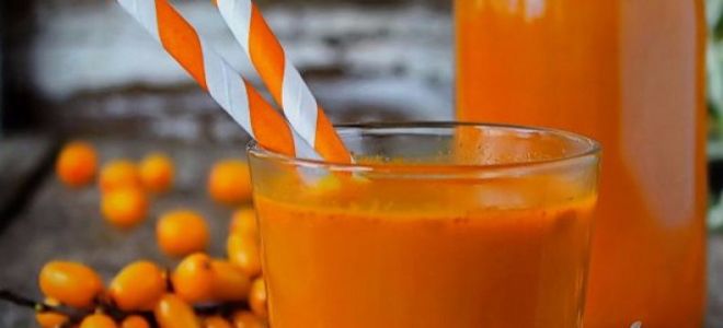 Защо сокът от морски зърнастец е полезен, как да го направите у дома