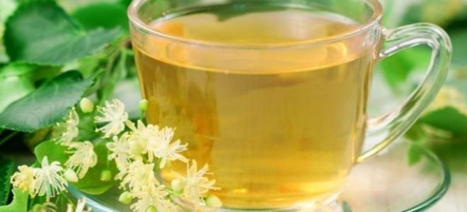 Чай от липа: полезни свойства и противопоказания, отзиви