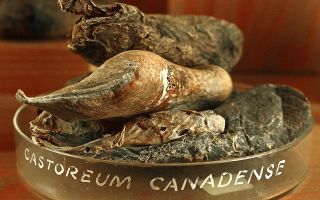 Τα οφέλη και οι βλάβες ενός αεριωθούμενου κάστορα