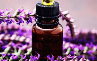 Olio di salvia: proprietà e usi per viso, ginecologia e capelli
